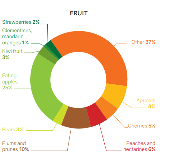 Graphique fruit sector 