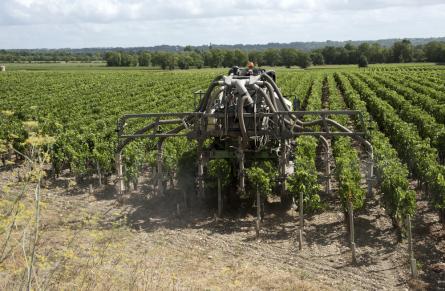 un tracteur de pulvérisation en train de traiter des vignes
